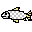 トウメイ魚